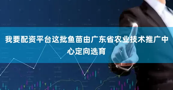 我要配资平台这批鱼苗由广东省农业技术推广中心定向选育