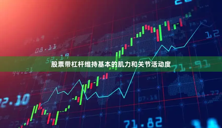 股票带杠杆维持基本的肌力和关节活动度