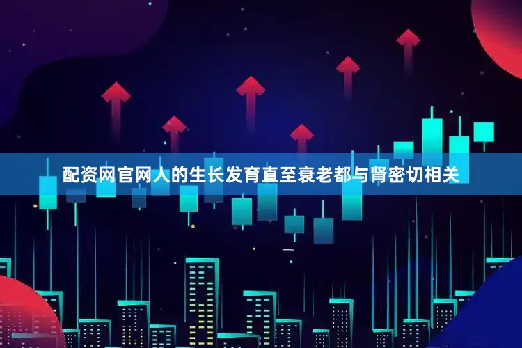 配资网官网人的生长发育直至衰老都与肾密切相关