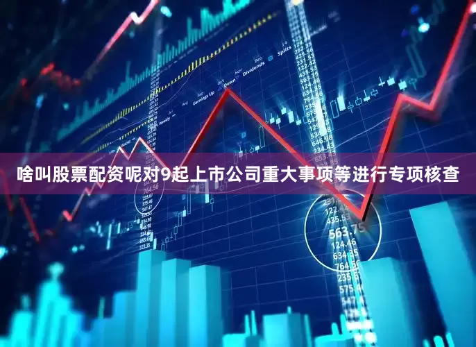啥叫股票配资呢对9起上市公司重大事项等进行专项核查