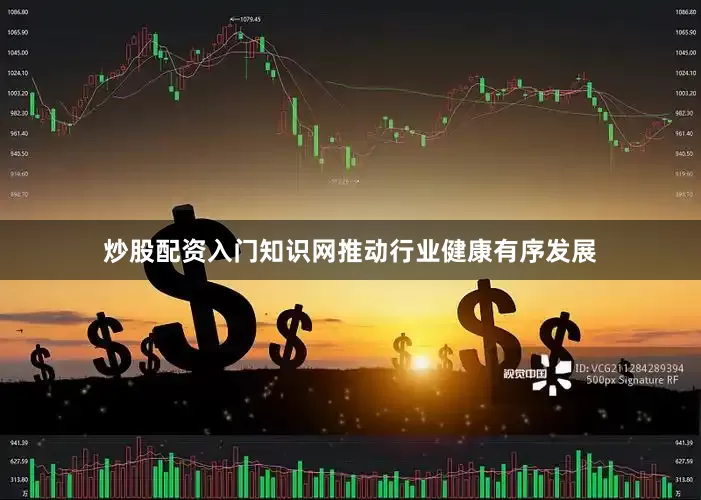 炒股配资入门知识网推动行业健康有序发展