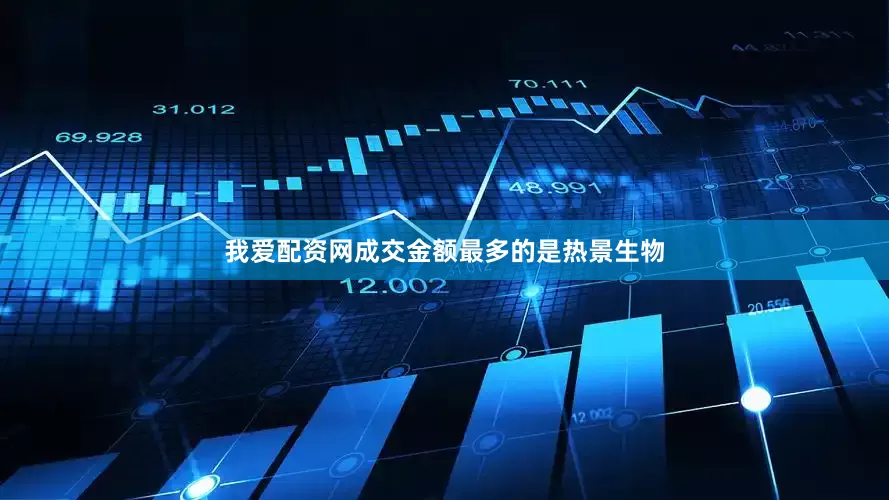 我爱配资网成交金额最多的是热景生物