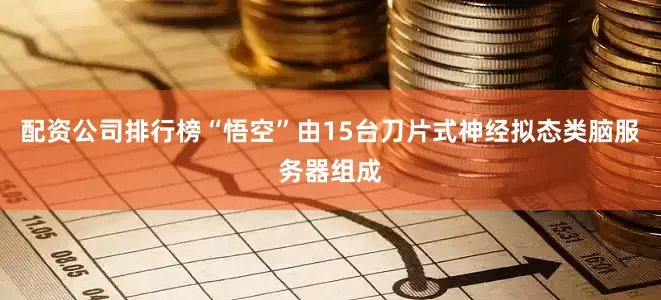 配资公司排行榜“悟空”由15台刀片式神经拟态类脑服务器组成